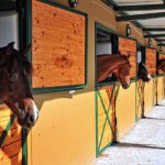 Business-horsebox-finance