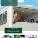 Horsebox – horse trailer finance