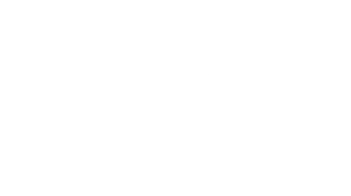 Pegasus Personal Finance | CAE