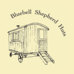Bluebell500